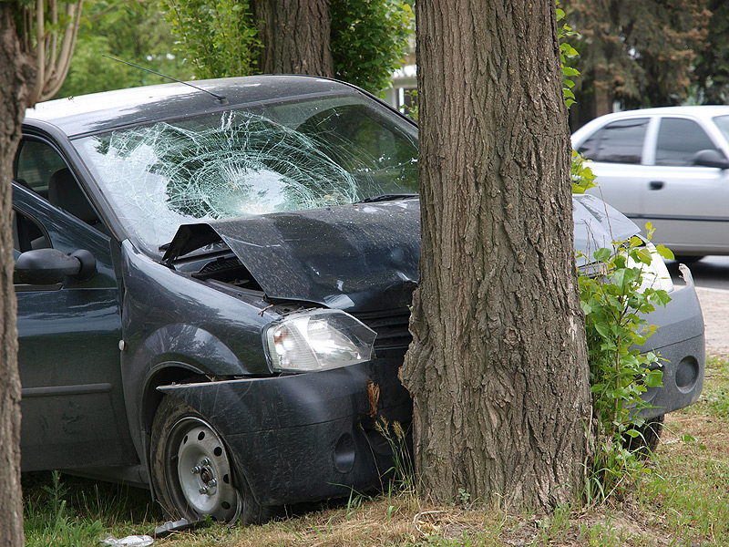 В Новой Москве авто врезалось в дерево